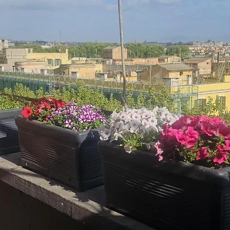 Vatican Caput Mundi רומא